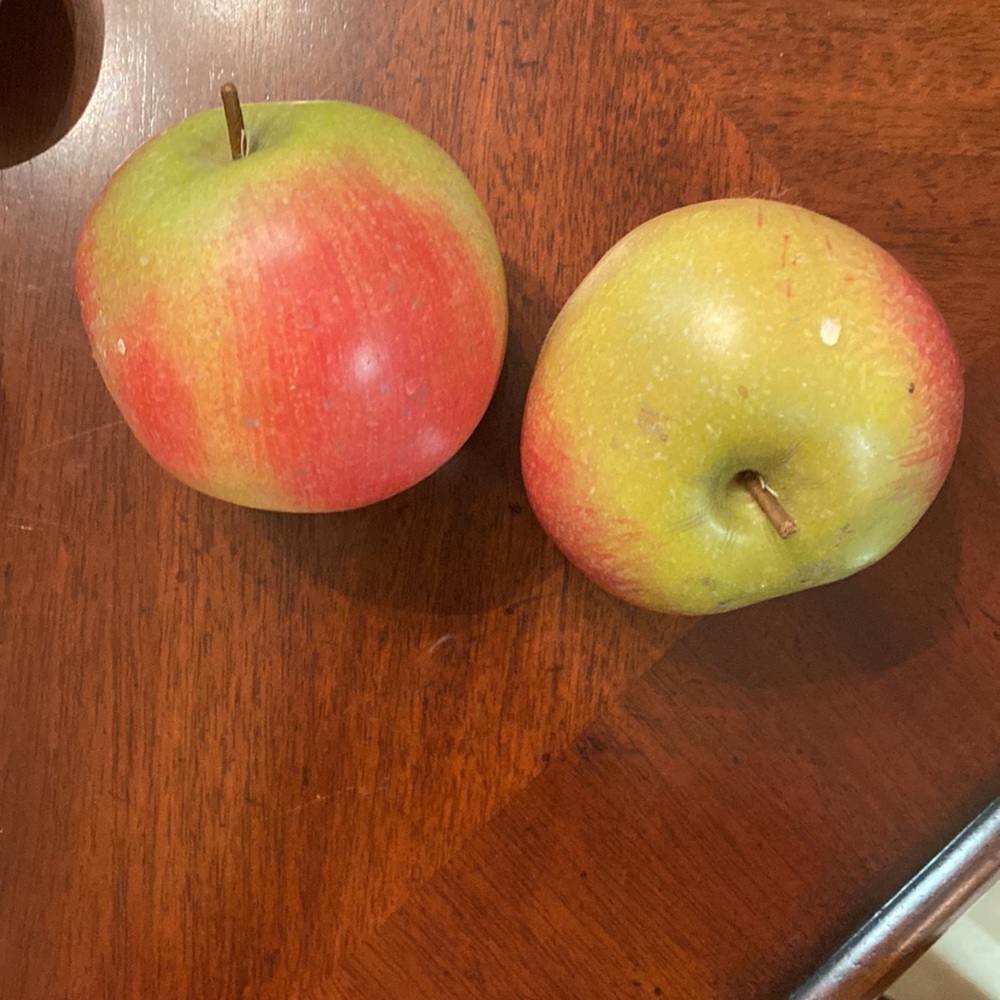Fake Fruit - Picture 4 of 5